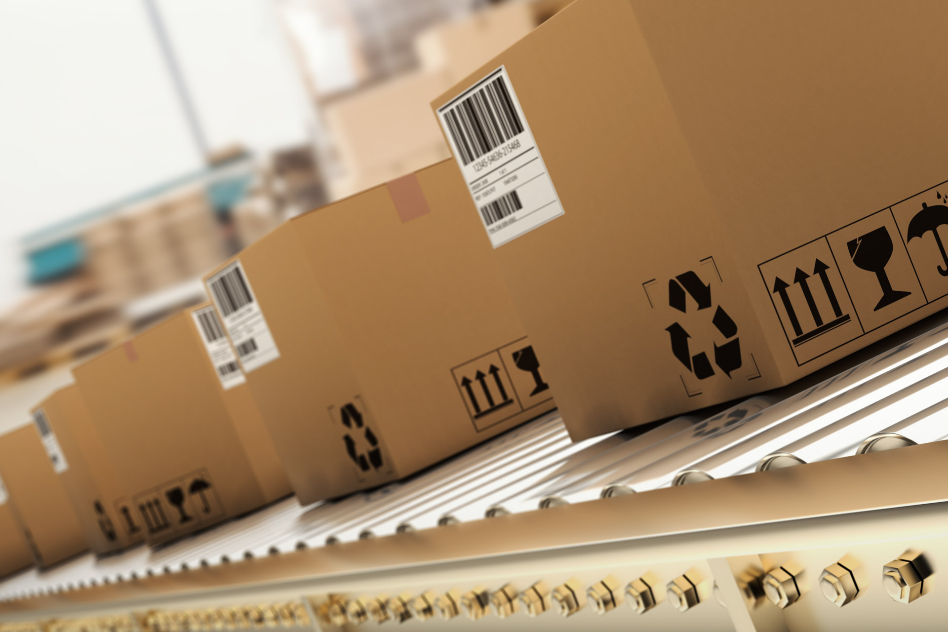 輸入・小売販売業